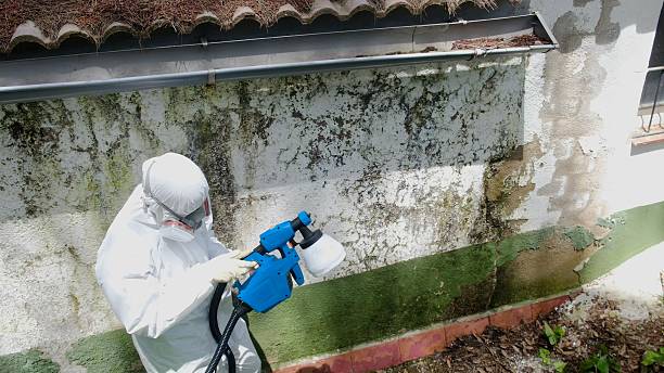 Top rated local Crawl Space Mold Remediation specialists in Spring City, TN